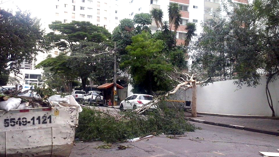 Árvore caída no bairro de Moema, em São Paulo (Ubiratan Leal/Outra Cidade)