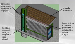 florianópolis__corpo